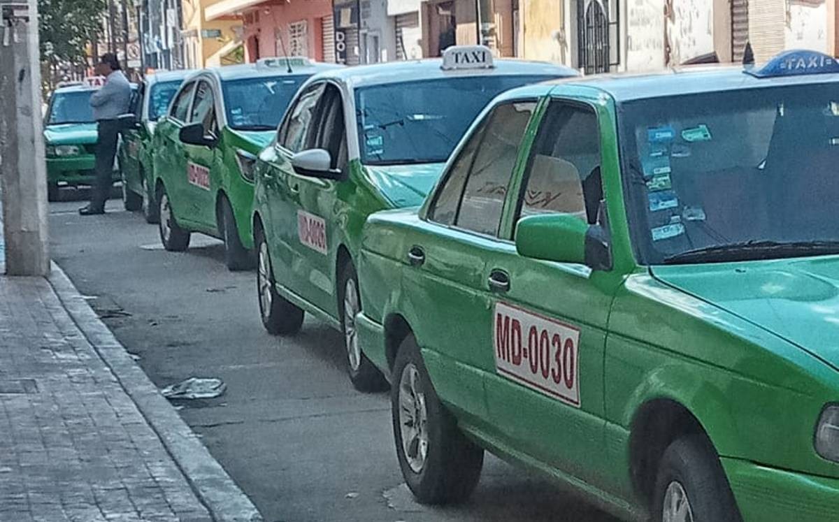 Taxistas de León | Archivo