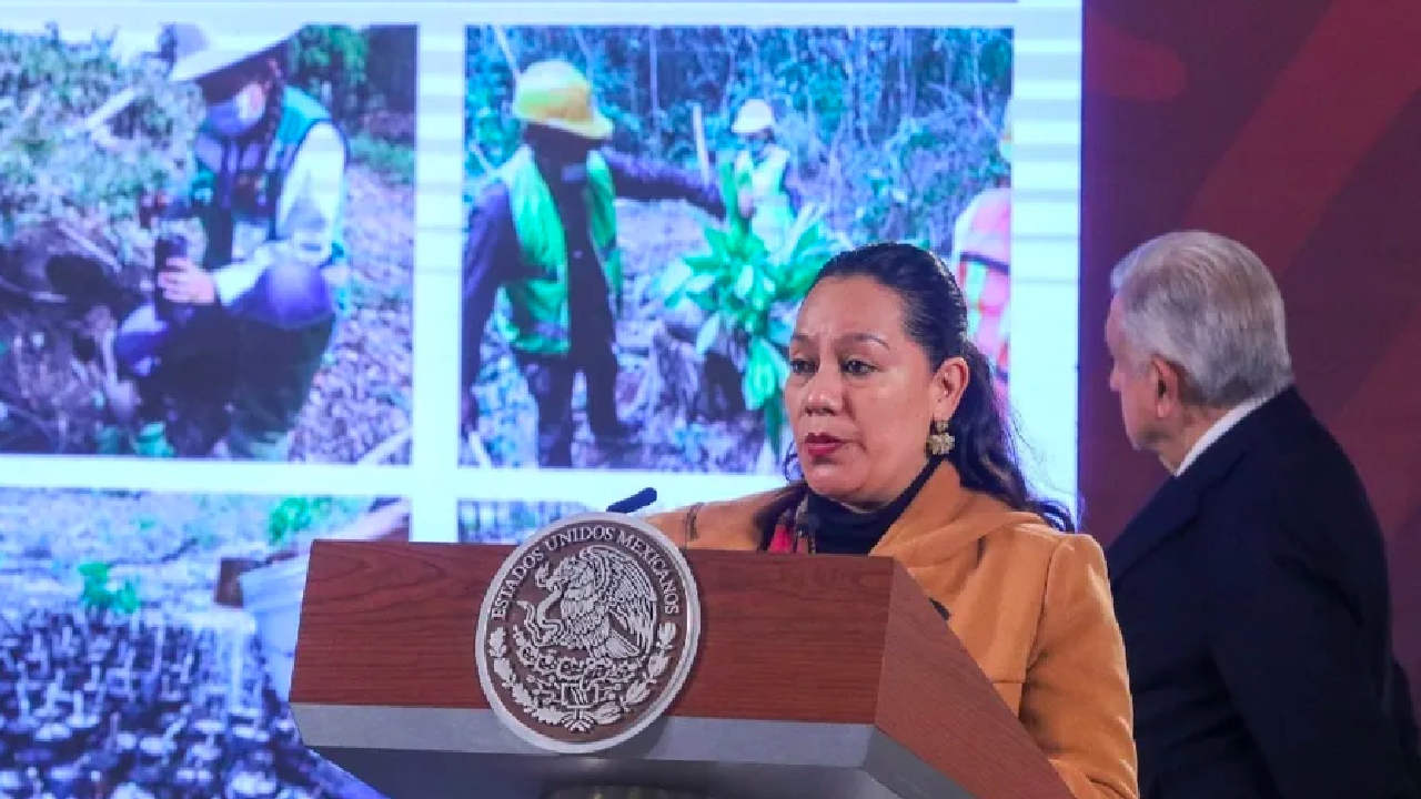 Gobierno busca crear la reserva natural más grande del país en Campeche