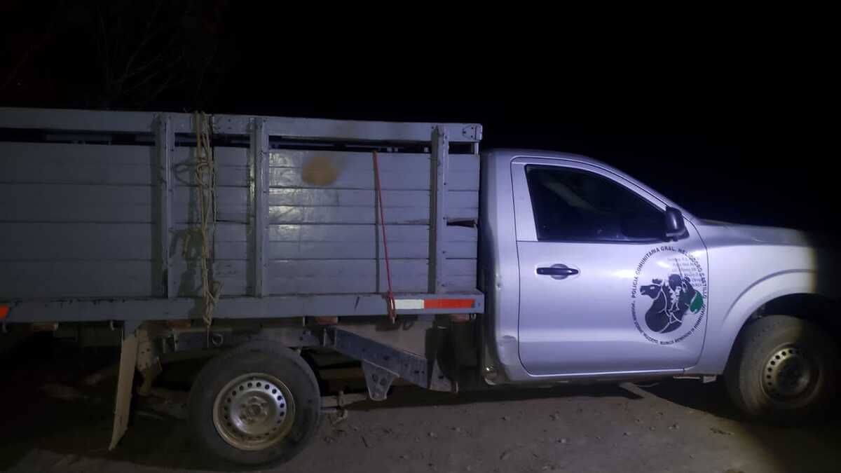 Vehículos de Policía Ciudadana asegurados. (Especial)
