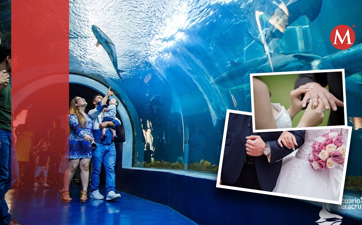 Bodas colectivas en Veracruz, serán en el acuario del puerto este 14 de febrero