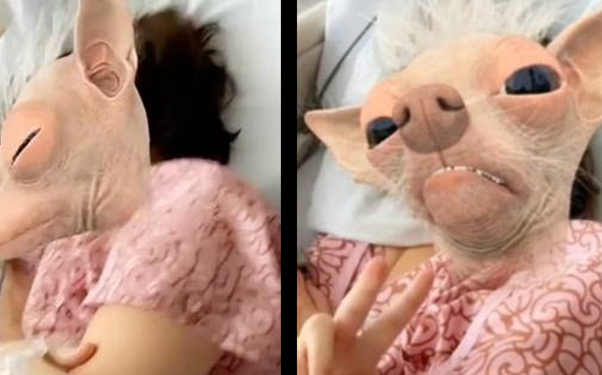 La broma no le cayó muy bien a muchos en TikTok | ESPECIAL