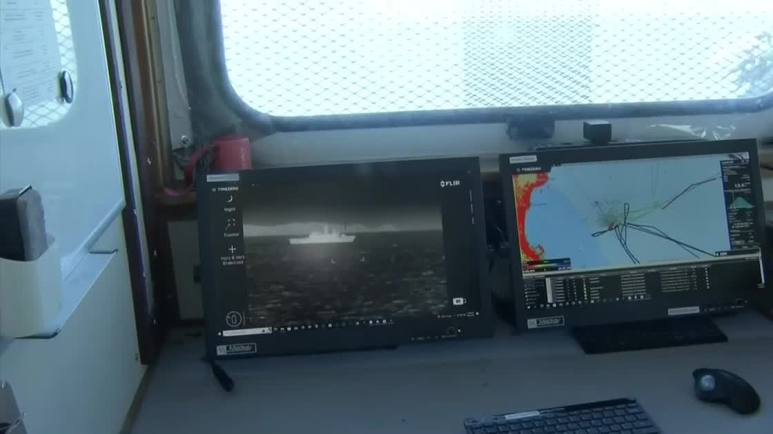 Organización 'Sea Shepherd' pone en marcha buque para combatir la pesca ilegal de Totoaba