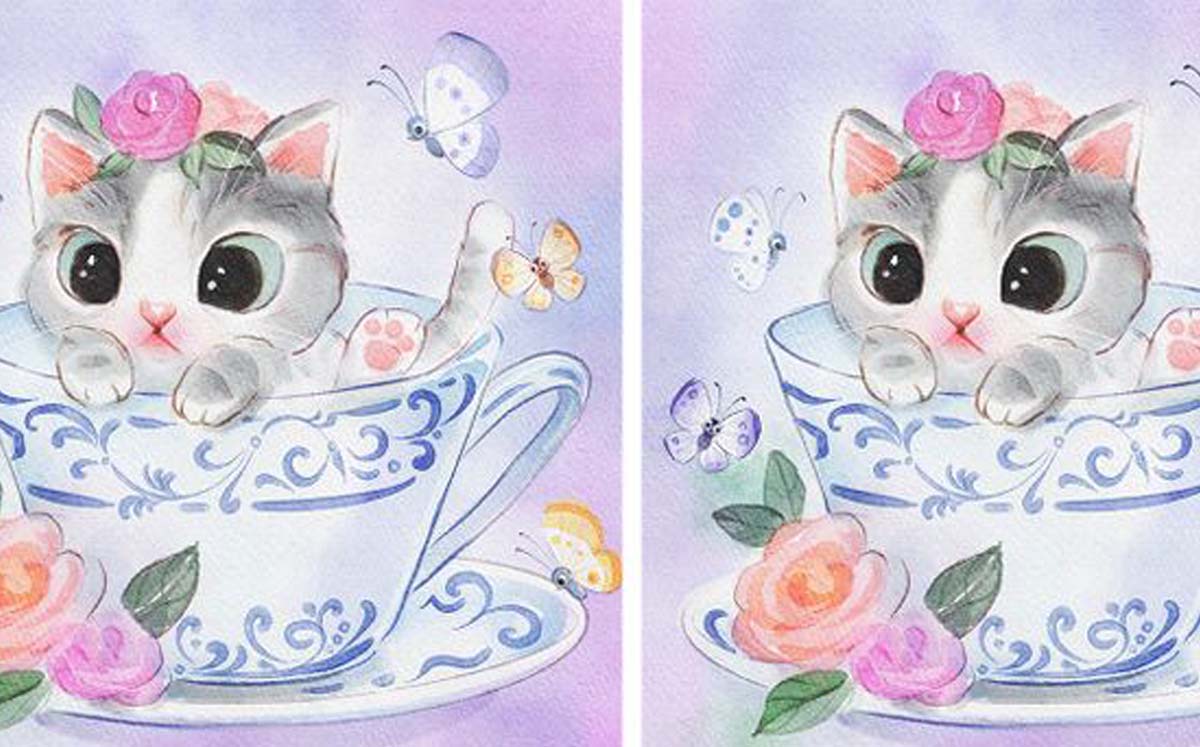 Encuentra las 3 diferencias con este reto visual | Genial Gurú