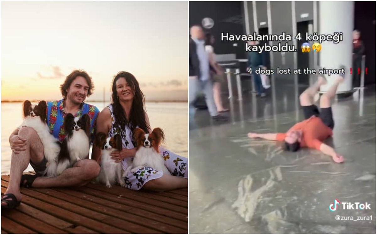 Hombre encuentra a sus perritos extraviados | Instagram