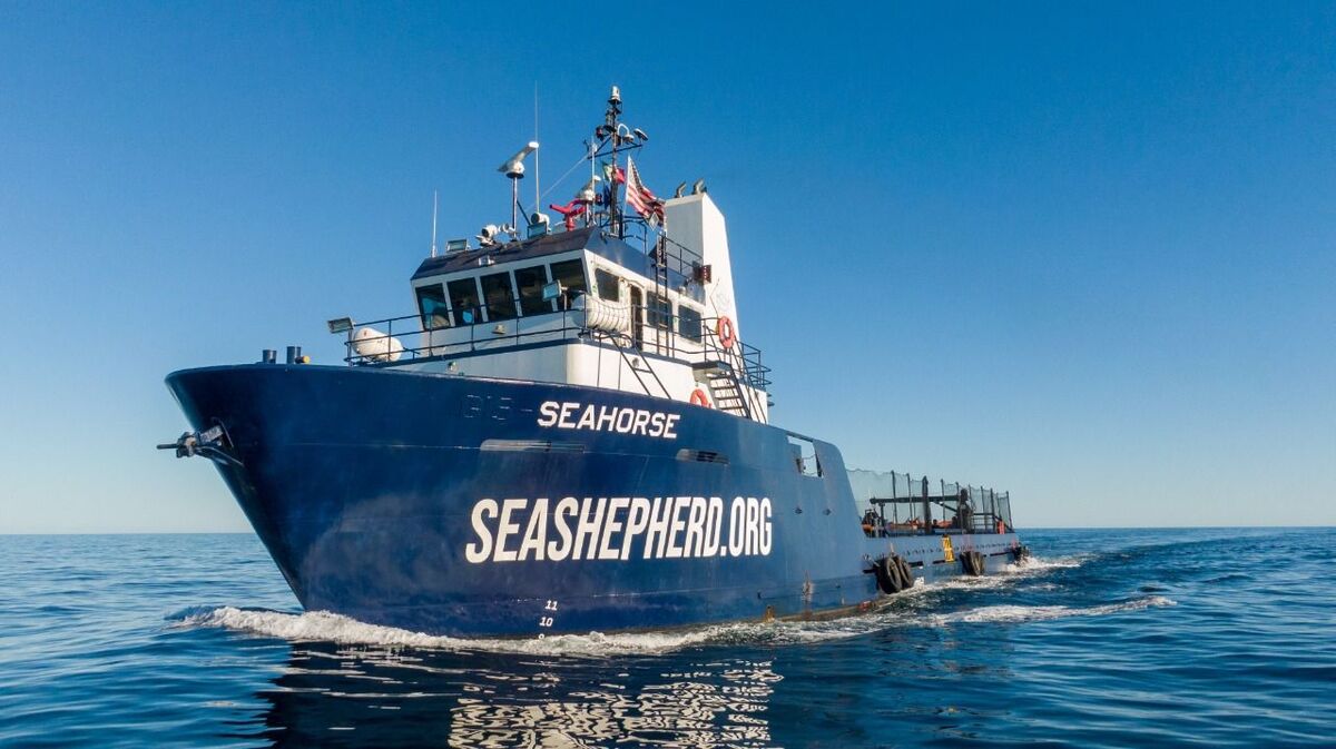 navío de la organización Sea Shepherd Conservation Society se sumó a la ‘Operación Milagro’ | Said Betanzos