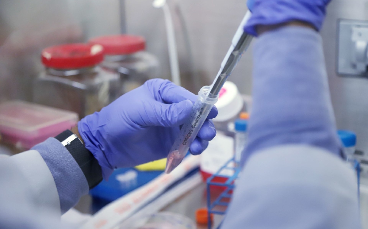 El organismo destacó la valiosa labor que realizan los biólogos del IMSS en México. | Cuartoscuro
