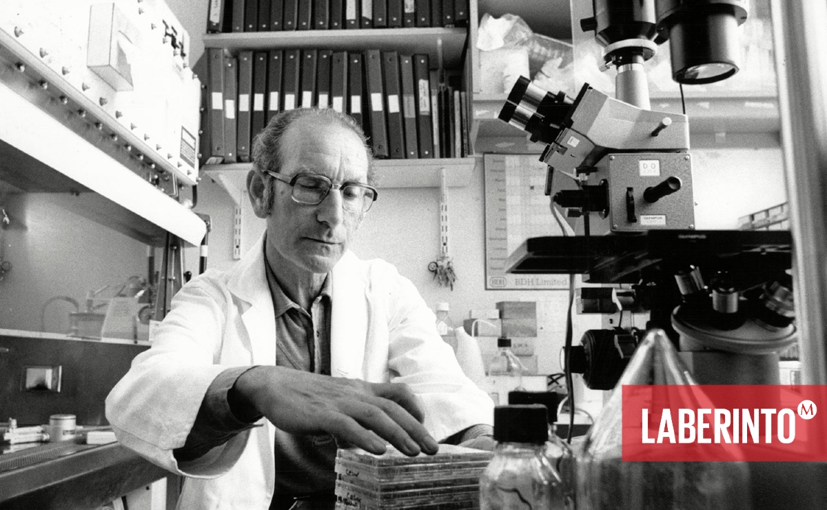 César Milstein, Premio Nobel de Medicina. (Archivo)