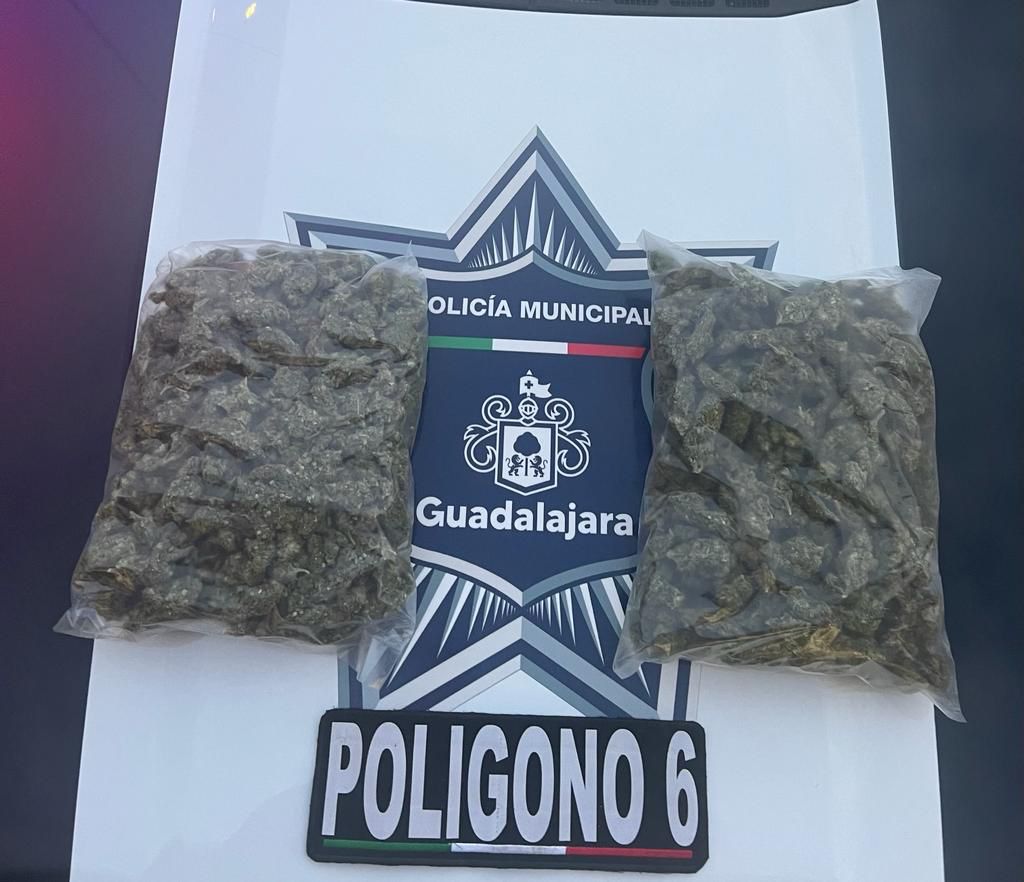 La mariguana fue asegurada. (Cortesía)