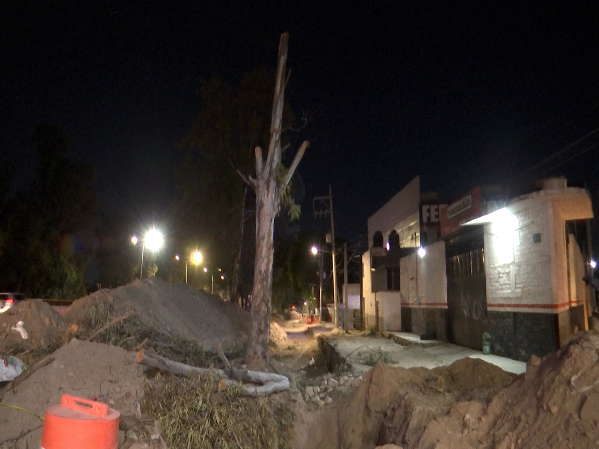 Un nuevo ecocidio se registró en Zapopan, ahora en El Briseño. (Dalia Rojas)