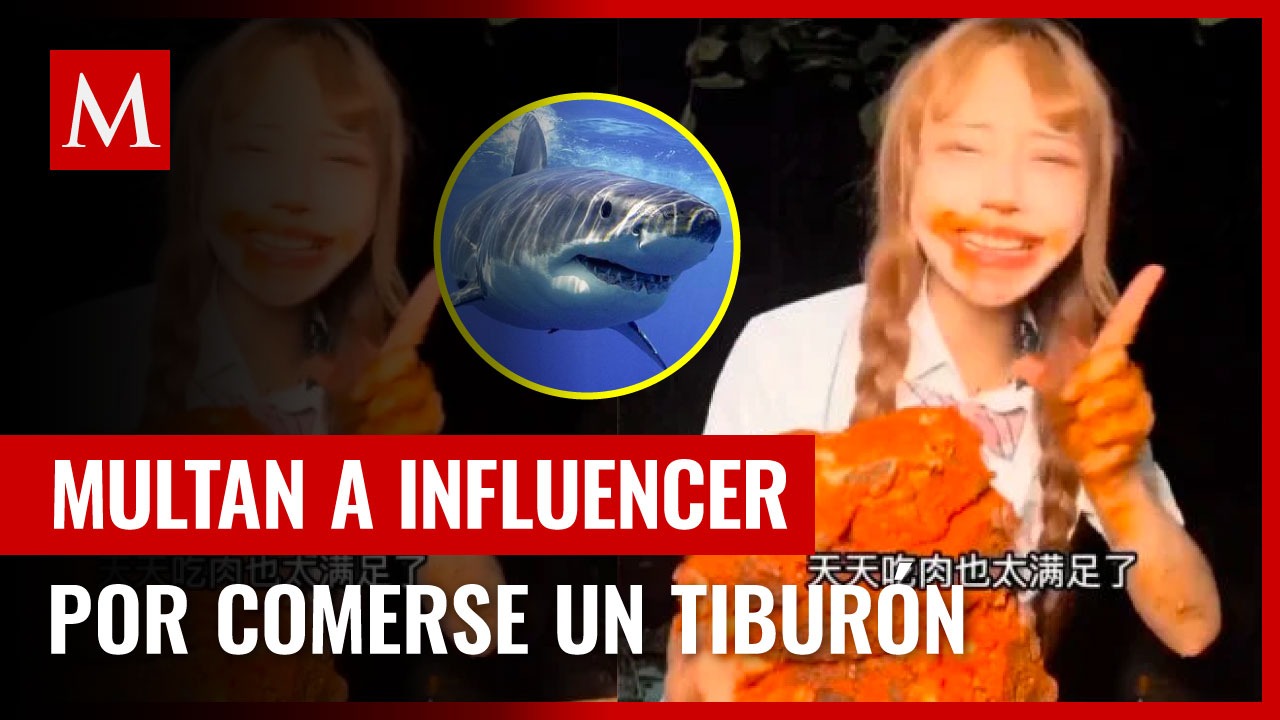 Multan a influencer china por cocinar y comerse un tiburón protegido