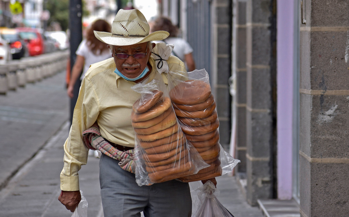 Aspectos de adulto mayor en Puebla | Agencia Enfoque