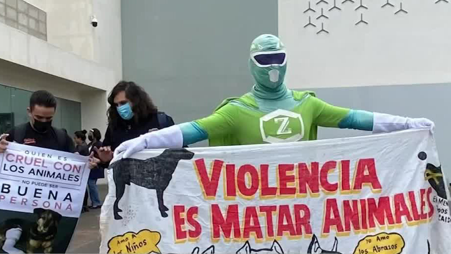 Por maltrato animal, congreso de la CdMx aprueba poner sanciones económicas y de arresto