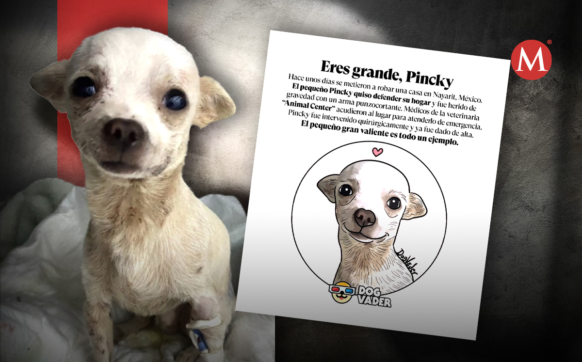 Pincky | Especial