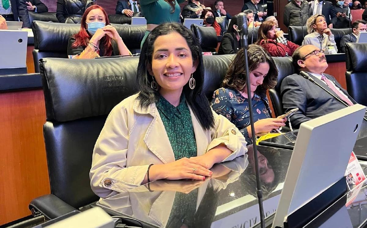La senadora de Morena, Claudia Balderas, durante una sesión en la cámara.  | @ClauBalderasMX