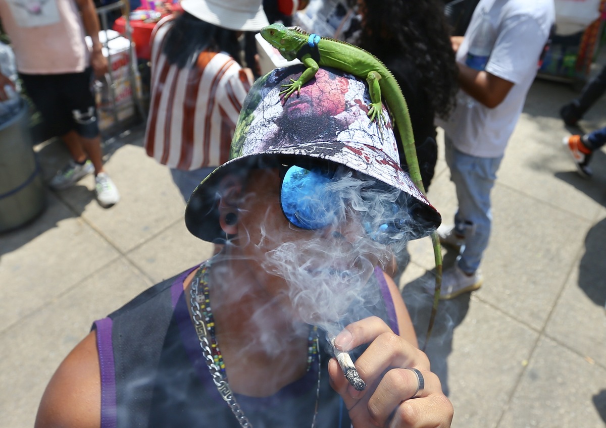 Los integrantes del movimiento cannabico se ha deslindando de la vendimia.