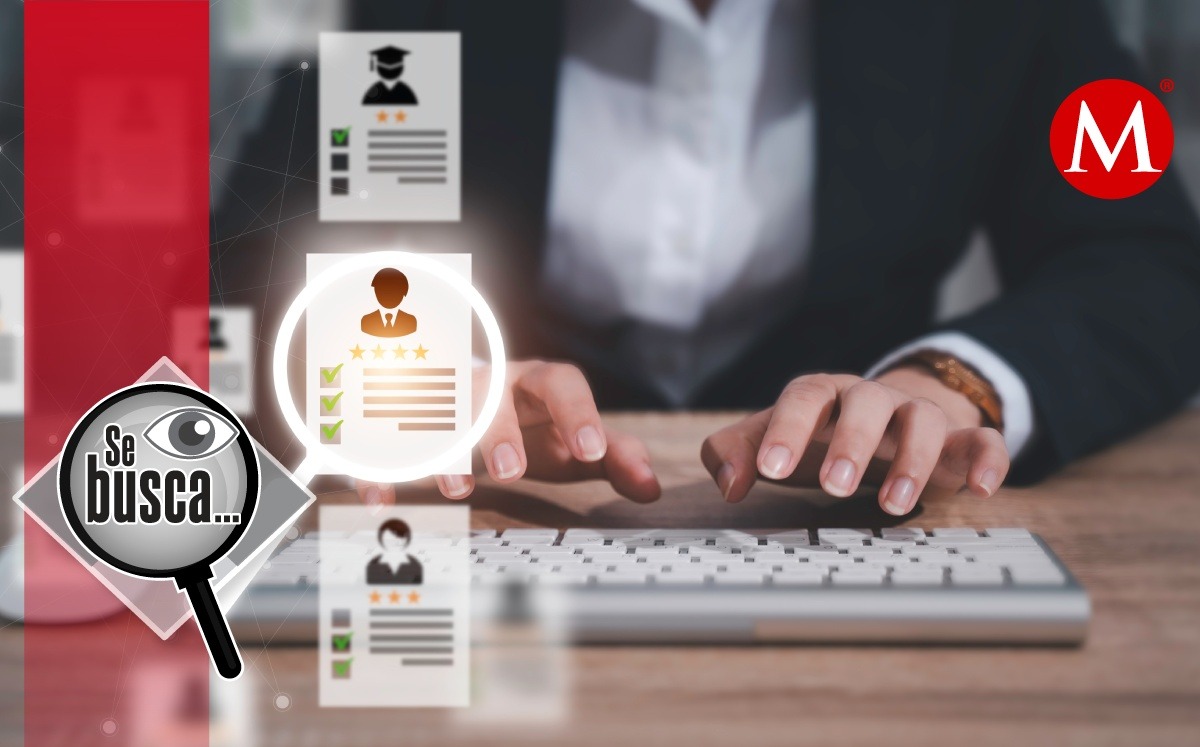 Así será el panorama laboral en México durante 2023. Foto: (Shutterstock)