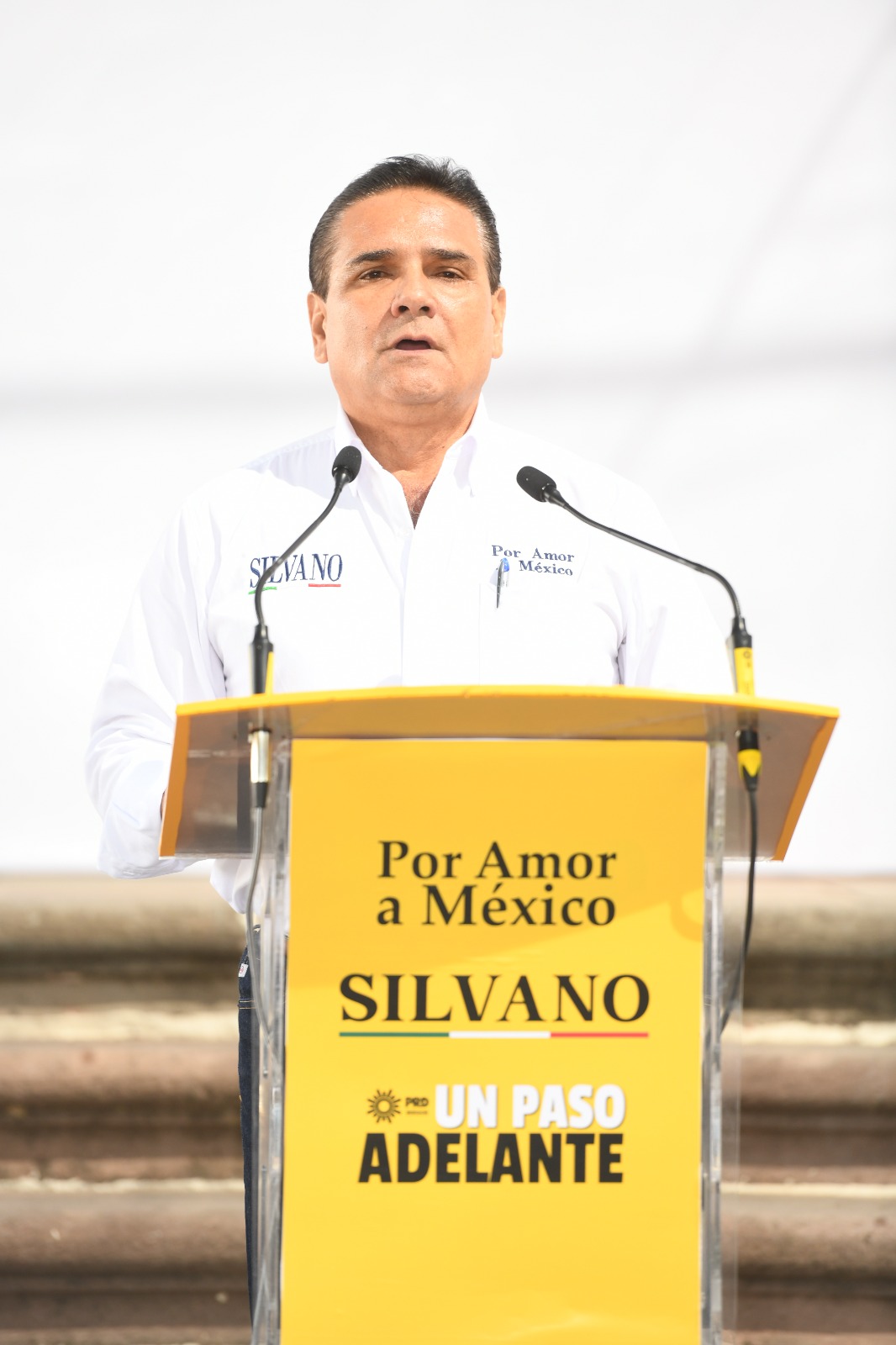 Silvano Aureoles, en un discurso de solidaridad durante la toma de protesta de Por Amor a México.