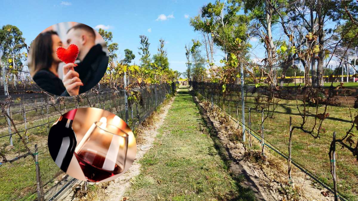 Refugio en Nopala ofrece actividades para San Valentín. (Elizabeth Hernández)