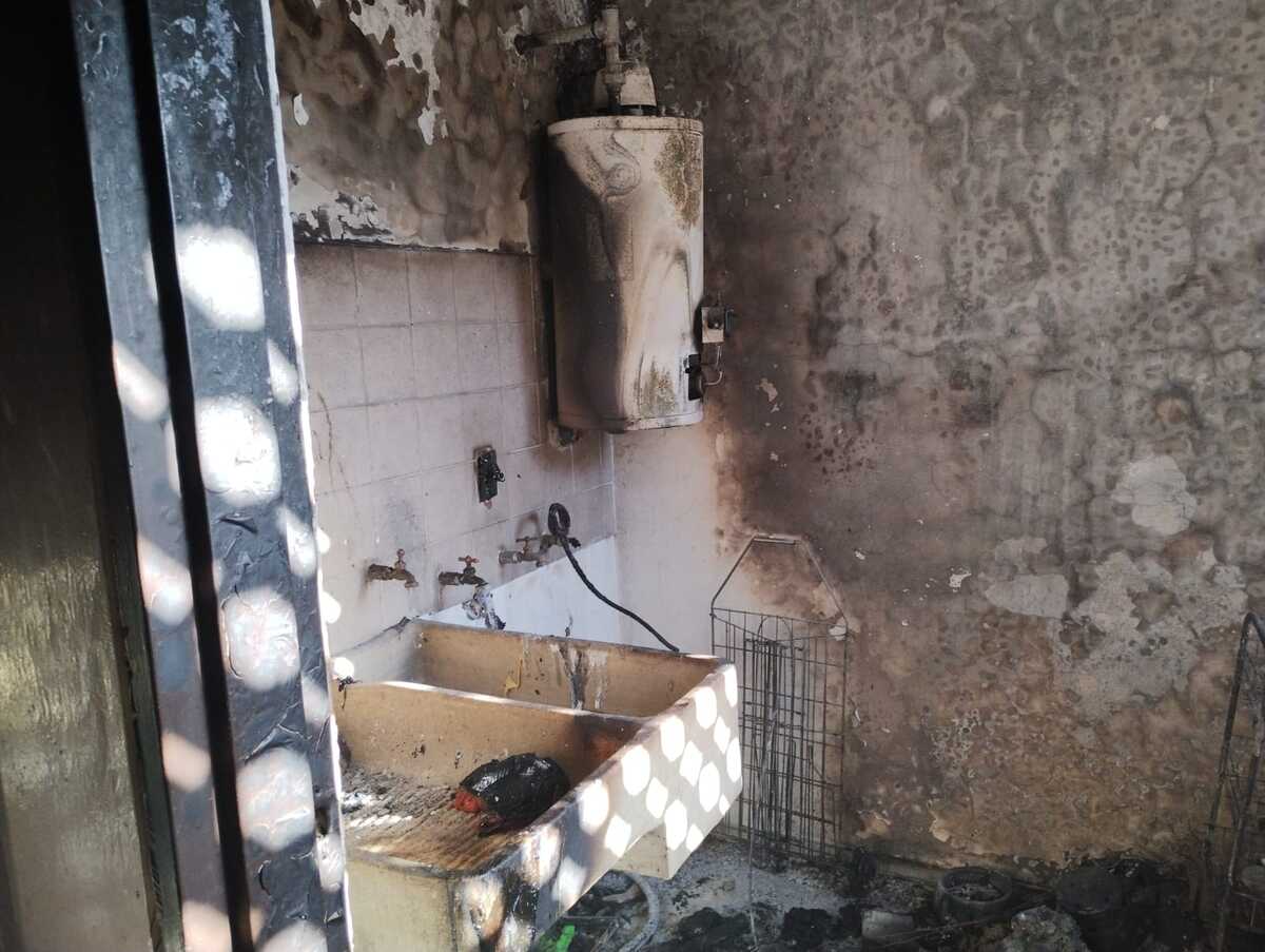 Bomberos rescatan gatos de incendio al interior de departamento en La Calma