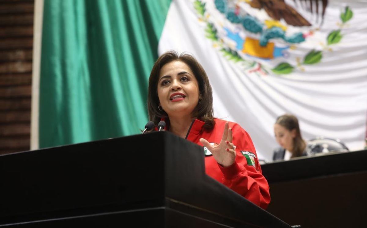 En la Cámara de Diputados la priista insistió en la urgencia de que autoridades educativas tomen precauciones sobre retos virales | Cortesía