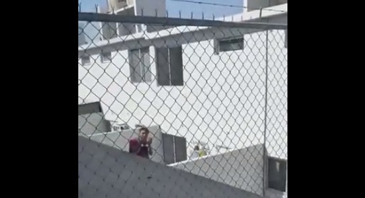 Titulo...