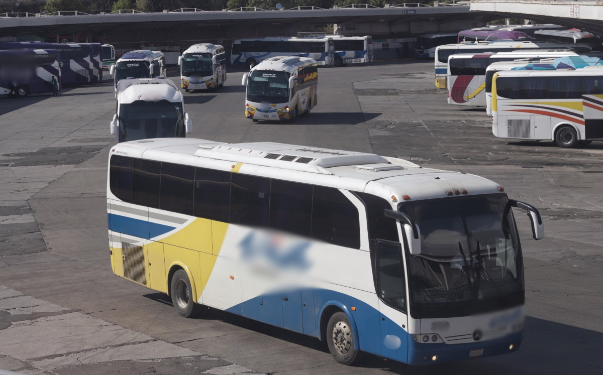 Lineamientos para operación de transporte de servicio turístico | Agencia Enfoque