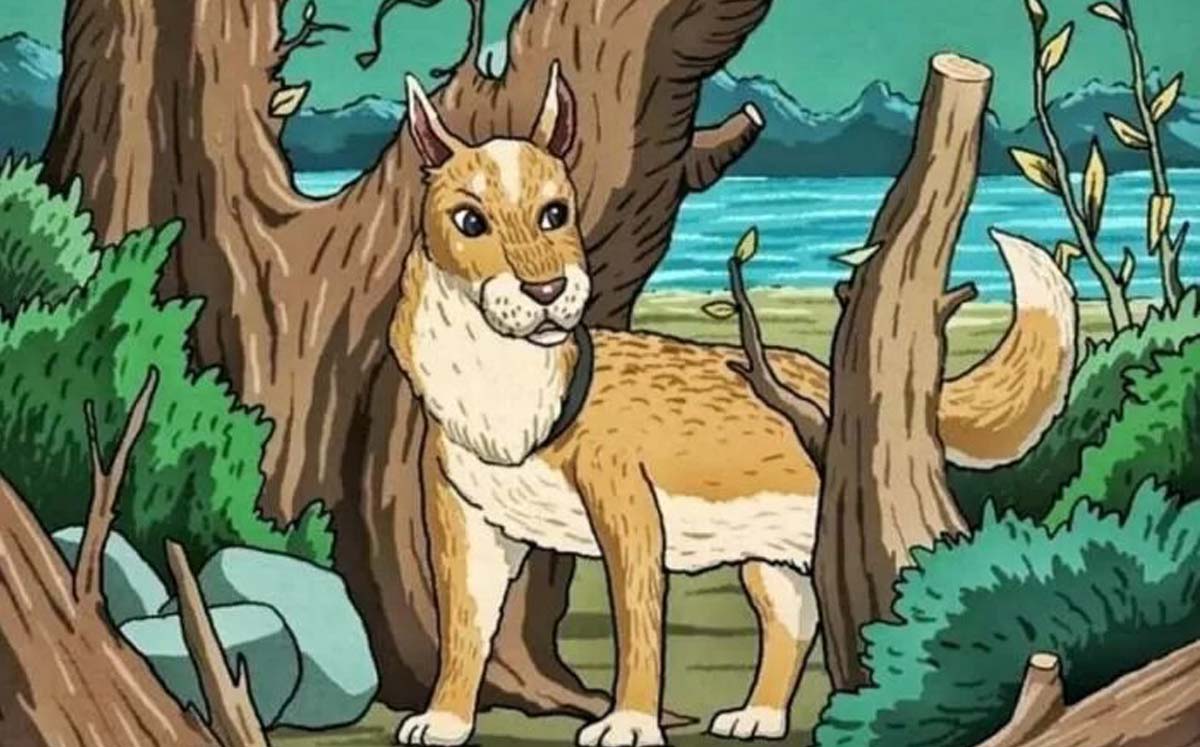 ¿Qué se está ocultando del perro? | Cronista