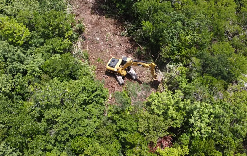 Juez paraliza por tiempo indefinido trabajos en el Tramo 5 del Tren Maya