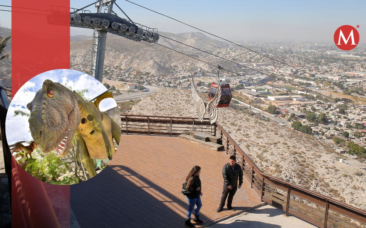 Puerto Noas de Torreón recibió a 60 mil personas en primer 'puente' del 2023. (Especial)