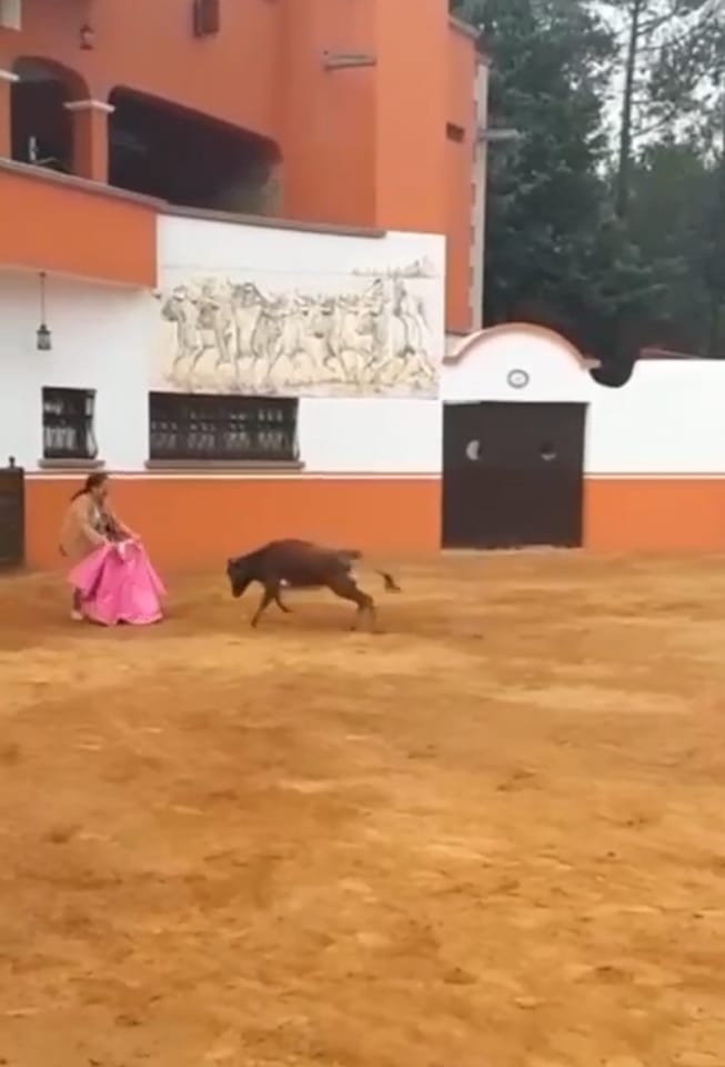 La senadora aclaró que pasó hace mucho tiempo. (Tomada de @Luciatraswbcs)