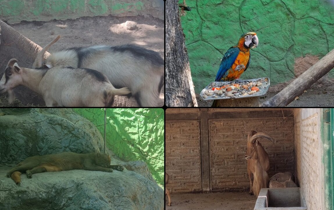 Algunos animales fueron vendidos. (Especial)