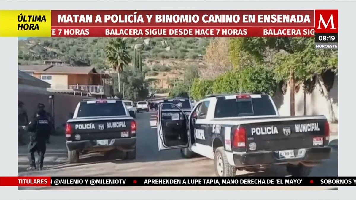 Balacera sigue desde hace siete horas en Ensenada, matan a perro policía