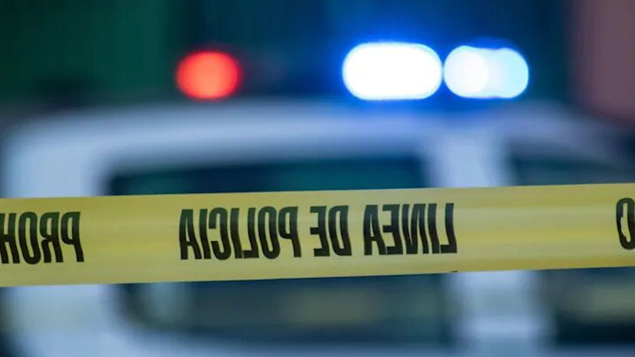 Detienen a responsable de muerte de perro policía en Ensenada