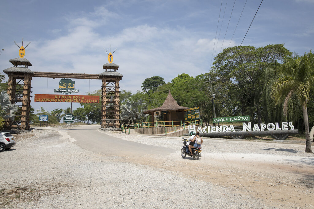 Un fallo del protocolo permitió el escape del tigre. (AP)