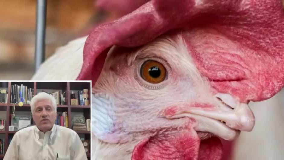 “La mayor bioterrorista es la madre naturaleza”: Alejandro Macías, infectólogo