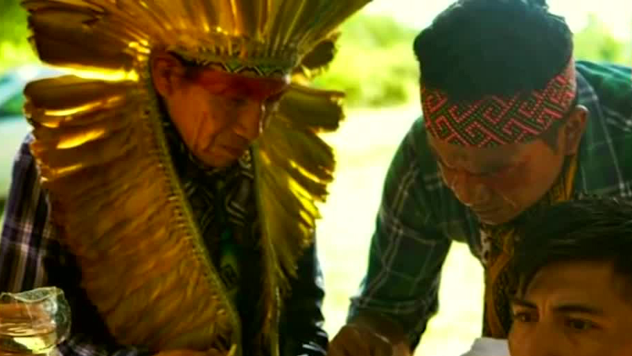 Clínica yaqui implementa el uso de ayahuasca como tratamiento contra adicciones y enfermedades
