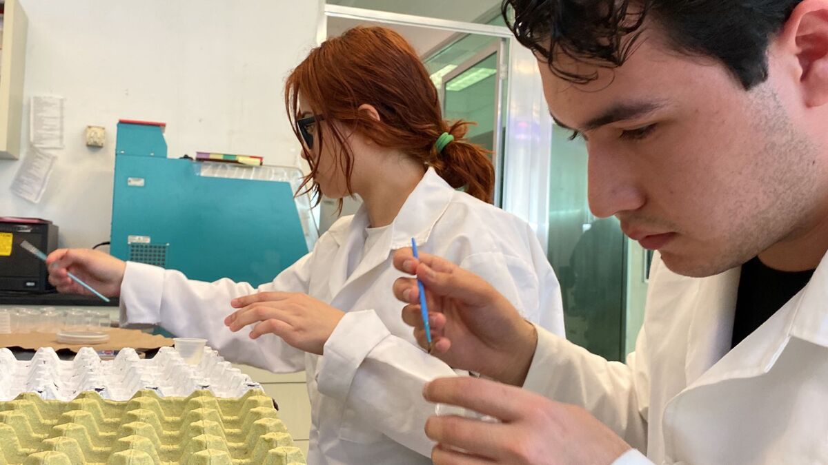 Investigadores detectaron afectaciones. (Carlos Raeb Morales)