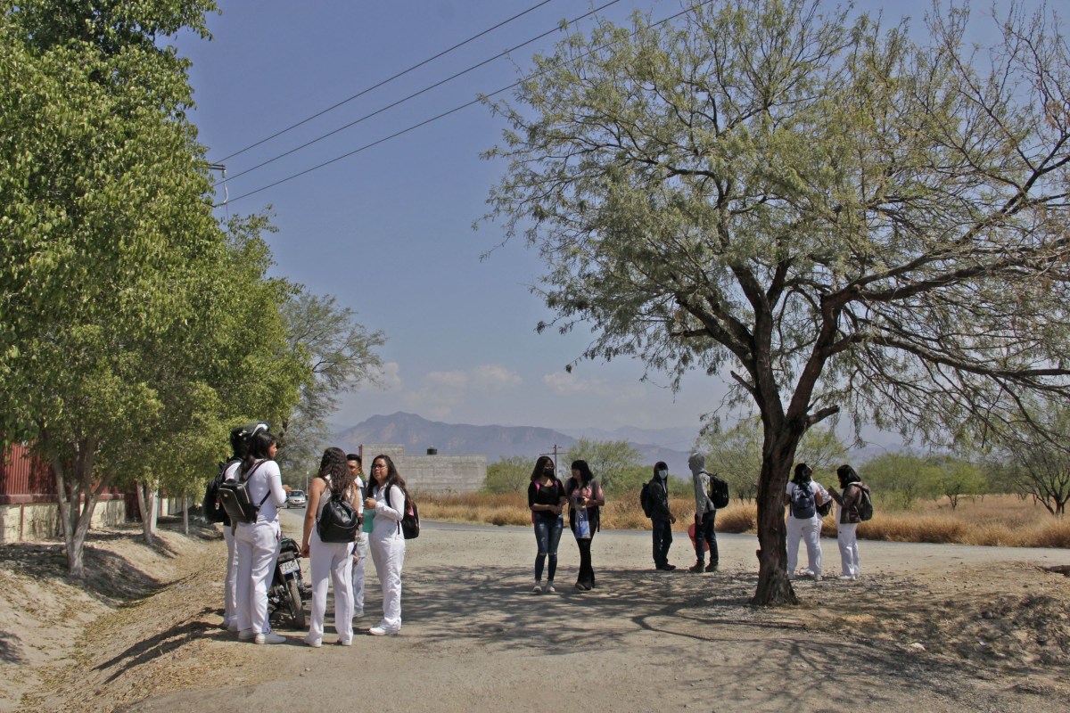 Universidades para el Bienestar “Benito Juárez García” (Ubbjg) | Melanie Torres