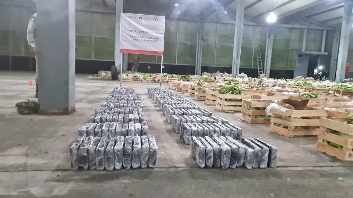 Cocaína escondida en cargamento de plátanos. (Especial)