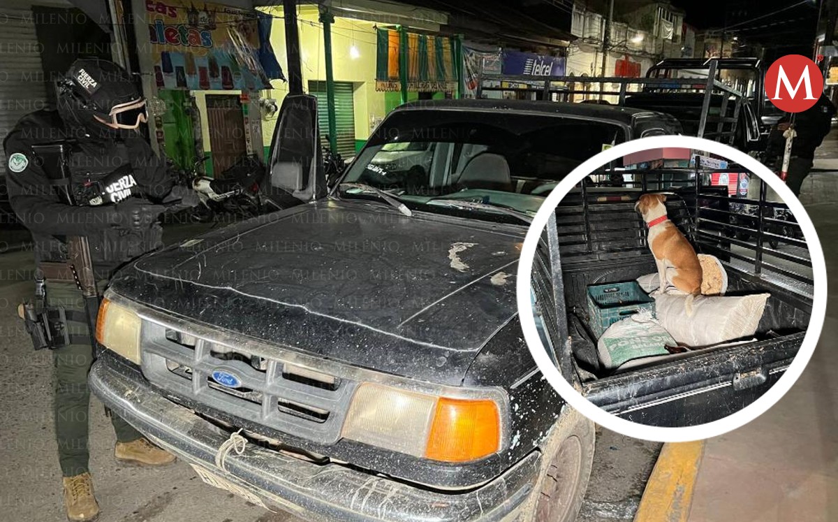 Detienen a hombres por chocar con patrulla; los detienen con todo y su perro.