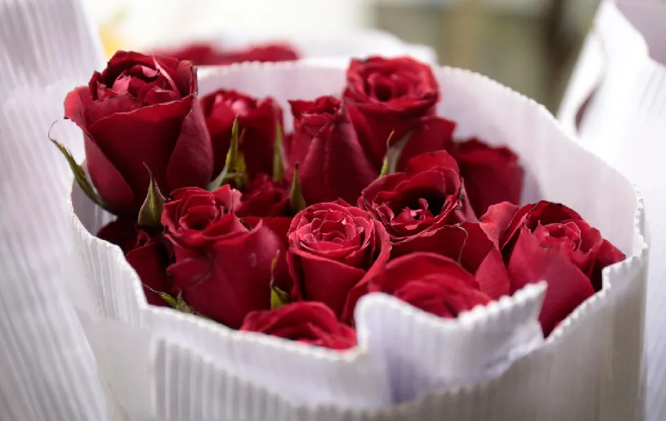 Floristas esperan un incremento en sus ventas con motivo de San Valentín
