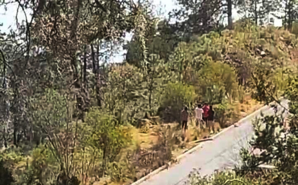 Localizan cadáveres en la carretera Libres-Altzayanca | Especial