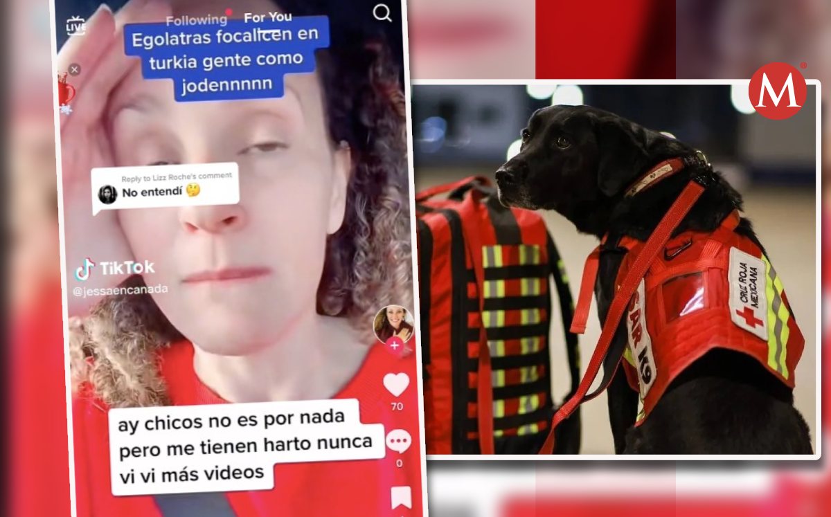 La mujer expresó su opinión en TikTok. (Diseño: Mauricio Ledesma)