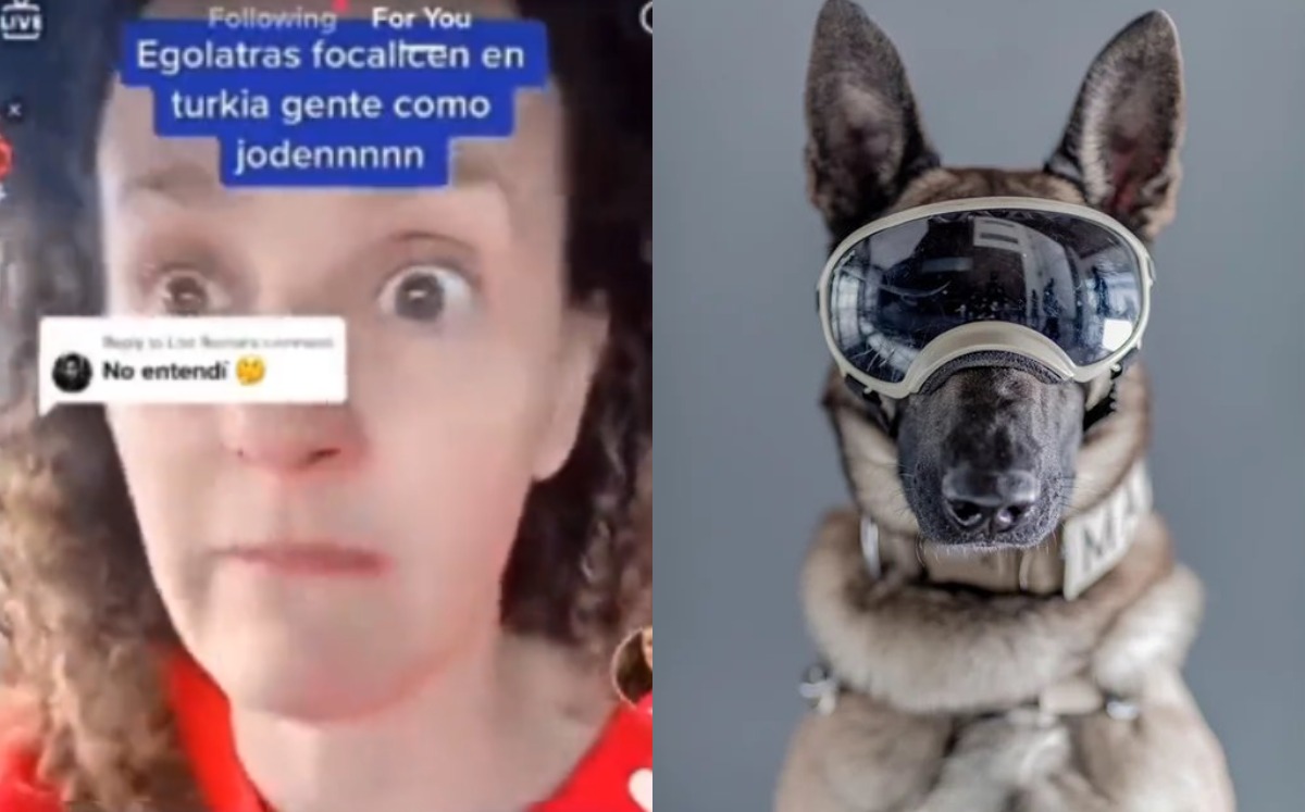 Argentina arremete contra perros rescatistas | Captura