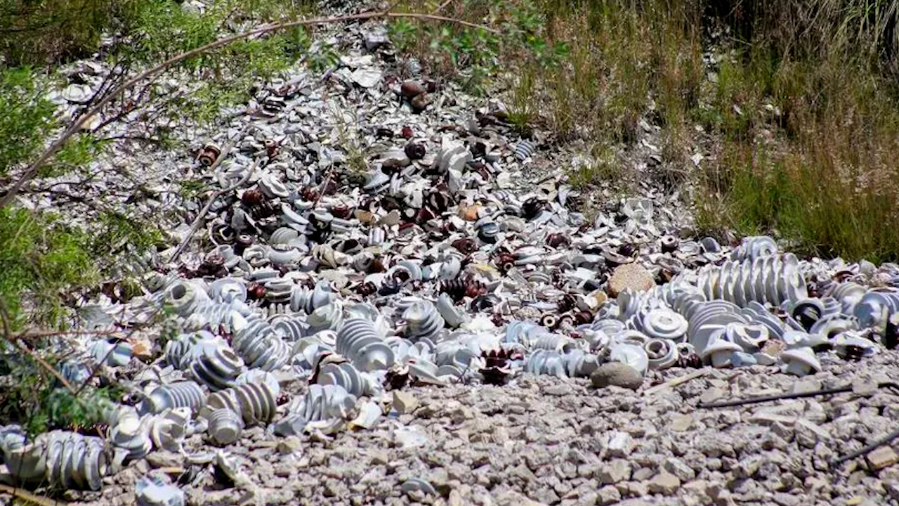 Solo 5% de basura se recicla en México, se generan 350 millones de toneladas al año
