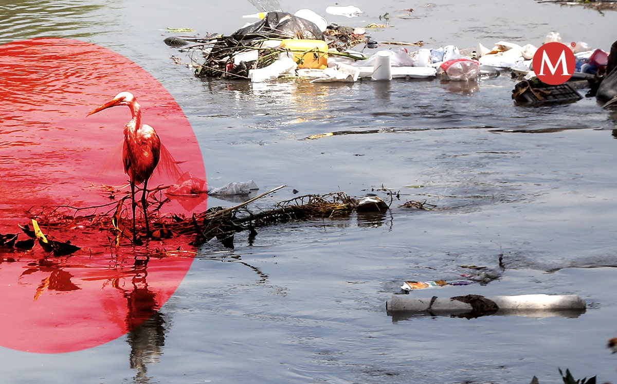 Contaminación en Río Hondo. (Especial)