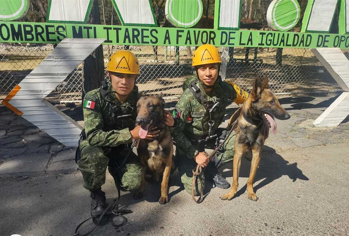 Binomios caninos del Ejécito mexicano.