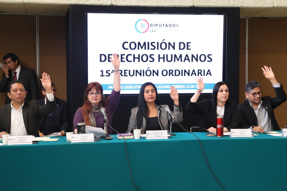 Comisión de Derechos Humanos de la Cámara de Diputados. (Especial)