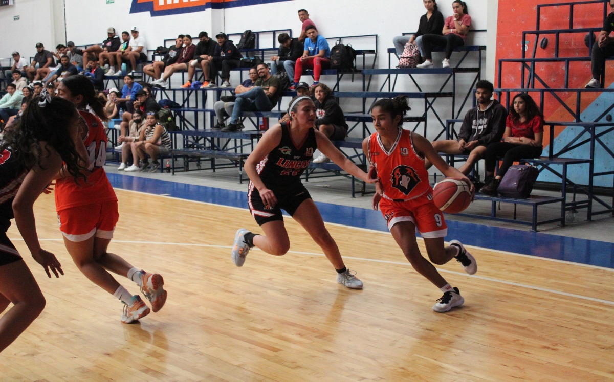 Halcones Inter | Especial