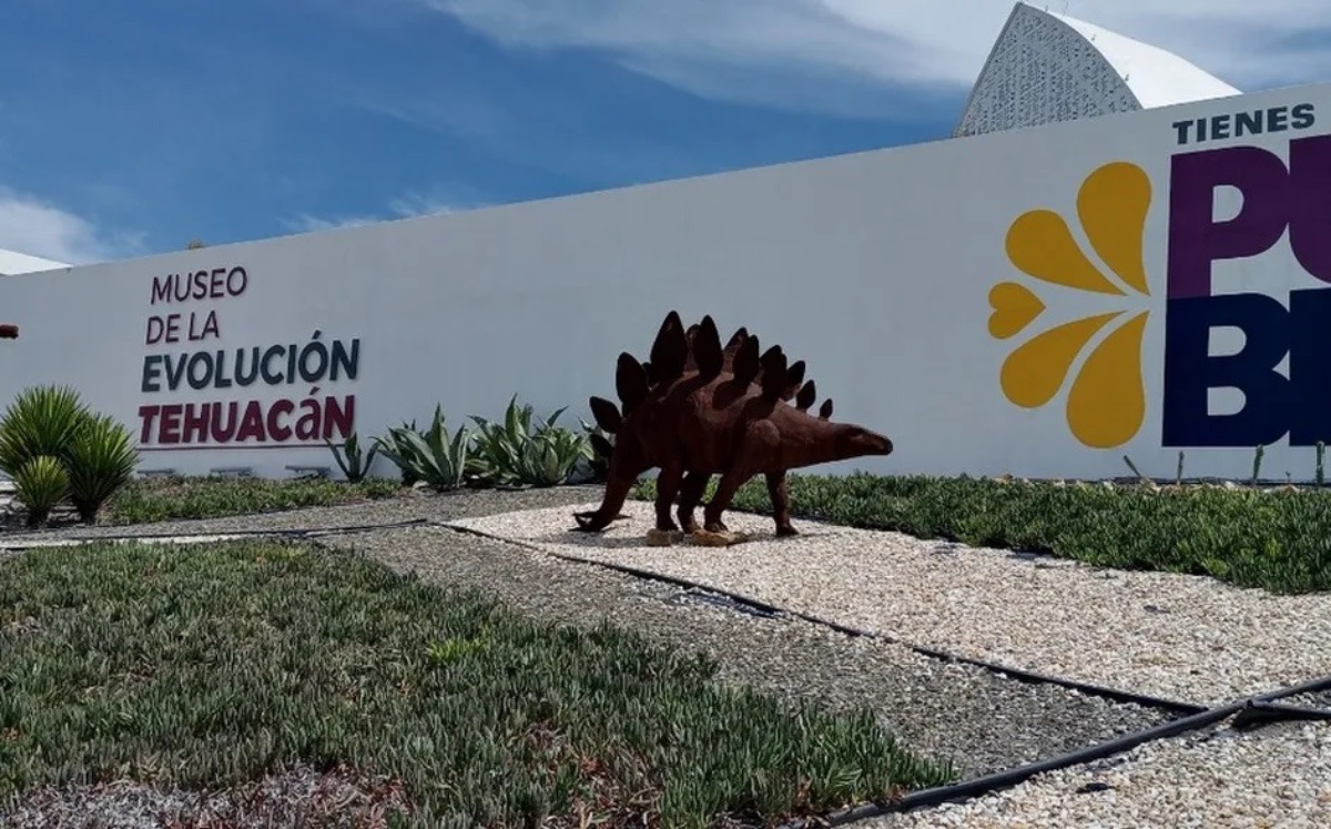 Museo de la Evolución | Especial
